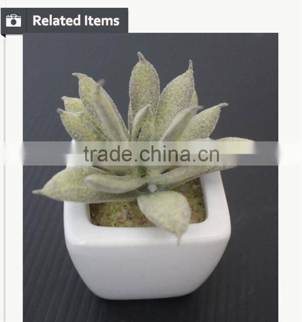 Mini potted succulents plants factory selling mini artificial succulents