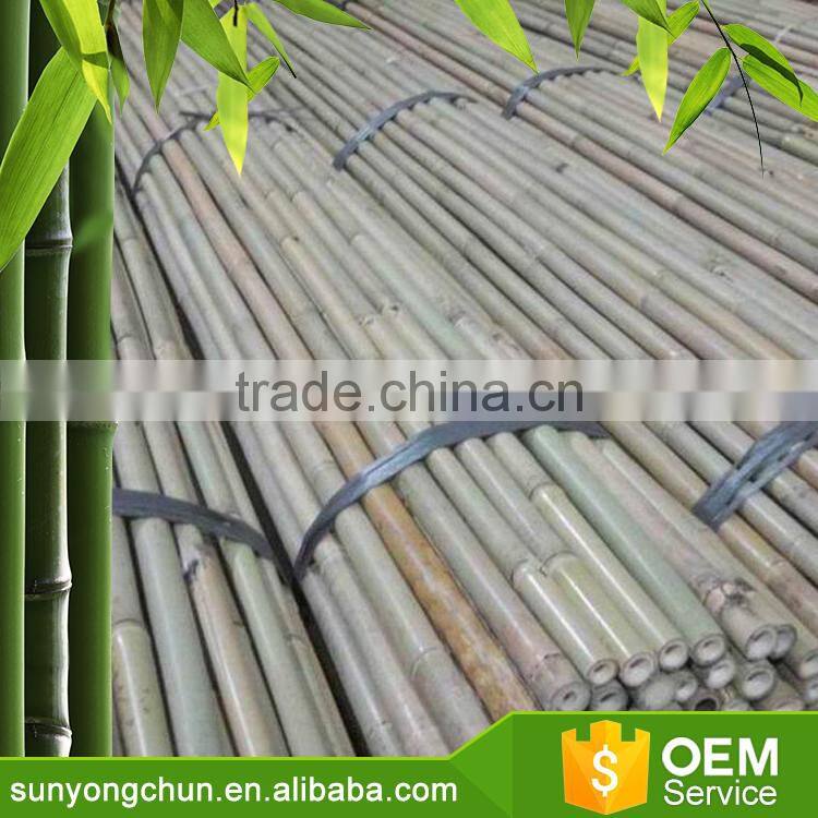 Diameter flag pole curtain christmas decoration bamboo canes for plants farm