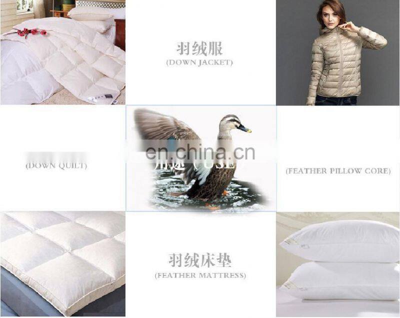 USA-2000 Grade A 80/20 white duck down big down cluster high filling power, cleaness, odorless, whole sales