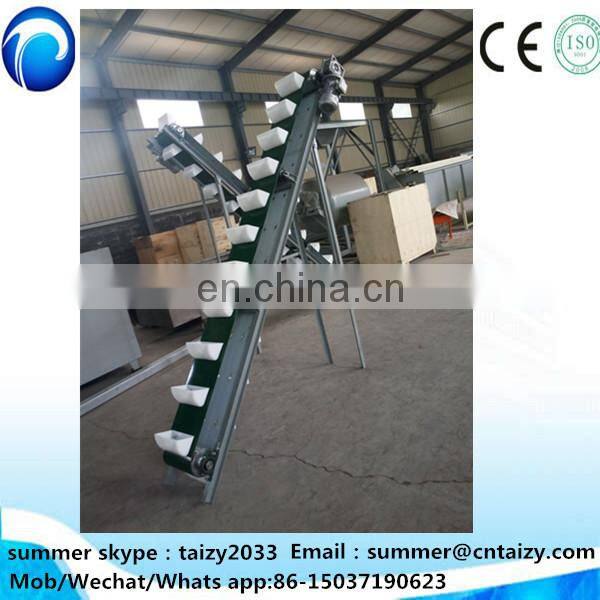 walnut peeling machine walnut peeler walnut processing machine