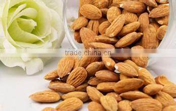 Almond Dryer Machine|Almond Drying Machine|Mushroom Dryer Machine