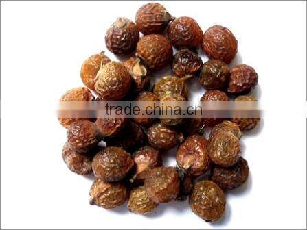 Superior Grade Soapnut Shell For OEM Manufacturing