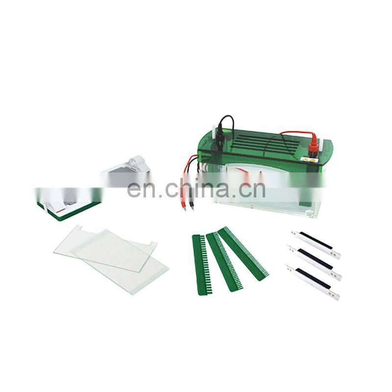 MEDFUTURE Hot Selling Horizontal Electrophoresis Tank