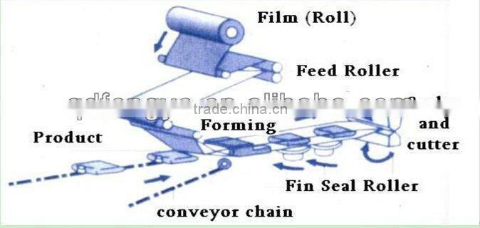 Automatic Packaging Machinery