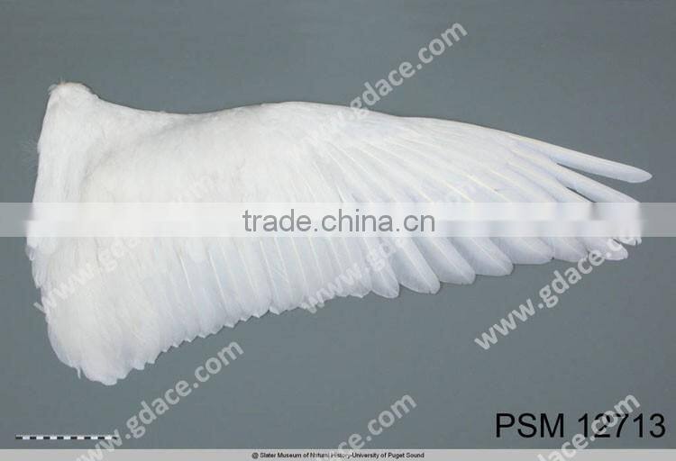 New Style fashion Angel wing swan wing feather for fashion shows