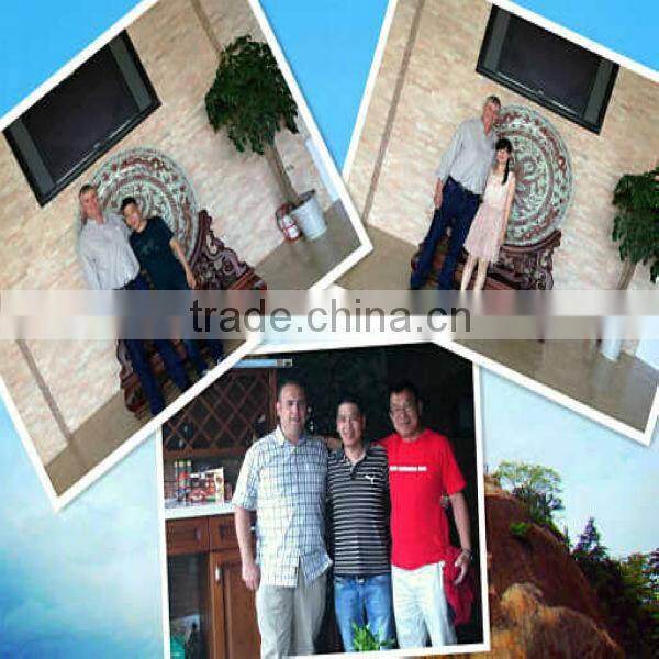 2013 Brass Impact Sprinkler Agricultural Tools