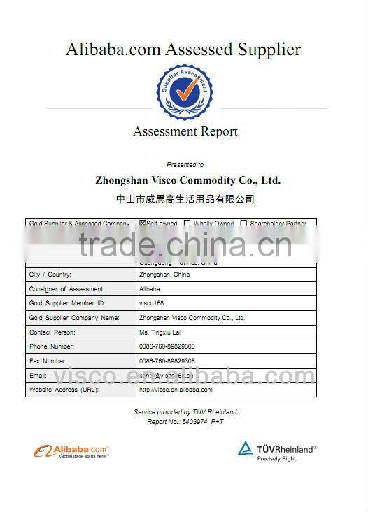 high quality native plastic wholesale broom, VA103