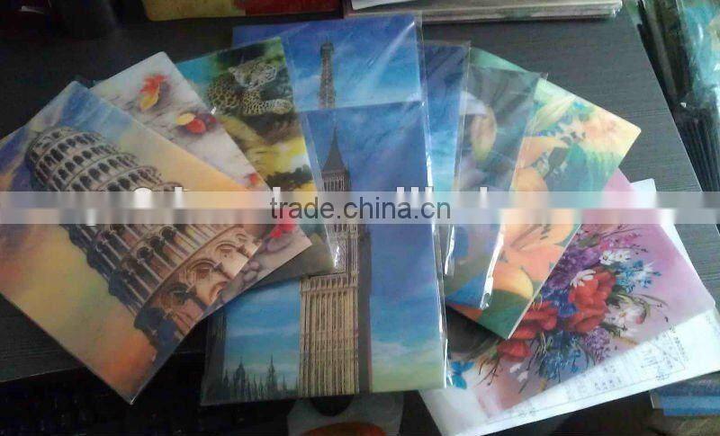 Lenticular 3D PP plastic file folder, PP Lenticular A4 file folder,for gifts and promotion