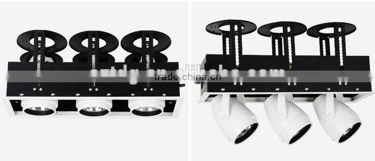 15 degree narrow beam angle 30w cob downlight round/Square shape(Super Bright!)