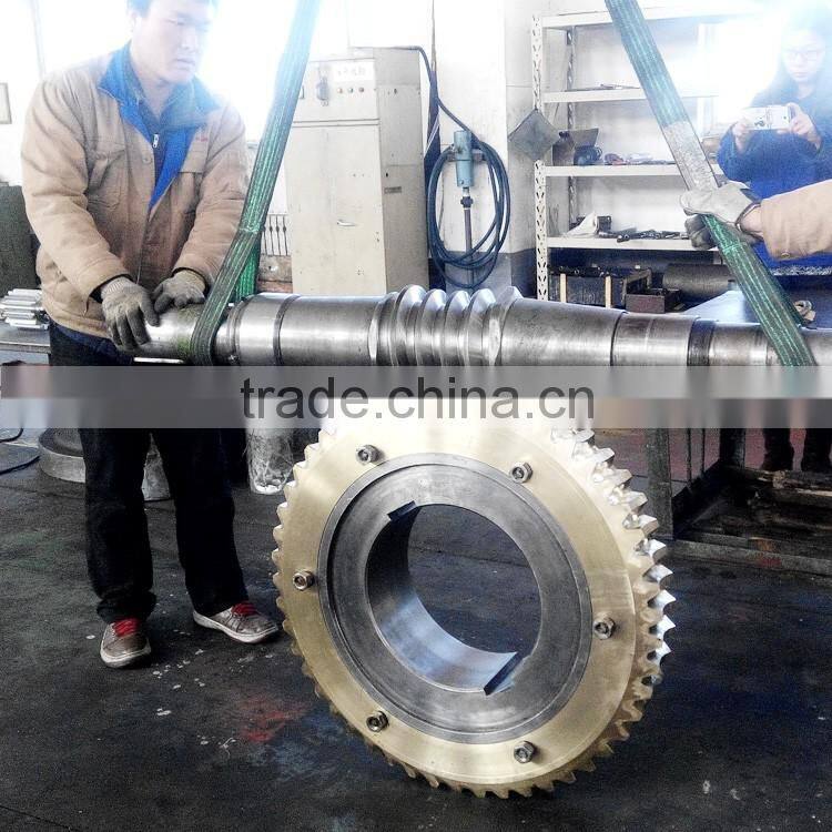 China fcatory casting worm gear
