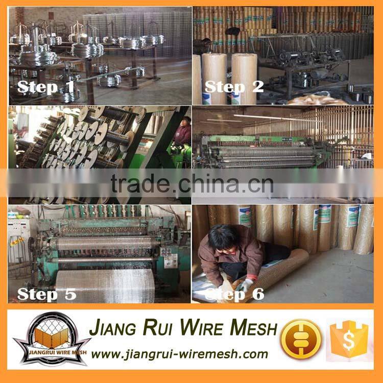 Professional supplier welded wire mesh (real factory)