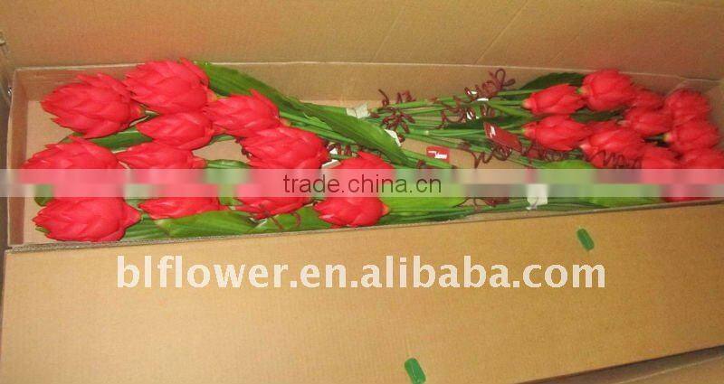 artificial bromeliad flowers