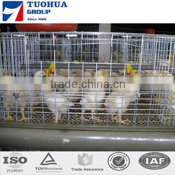 120birds A type folding chicken cage