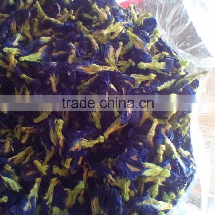 Dried Thai herbal medicine Butterfly Pea