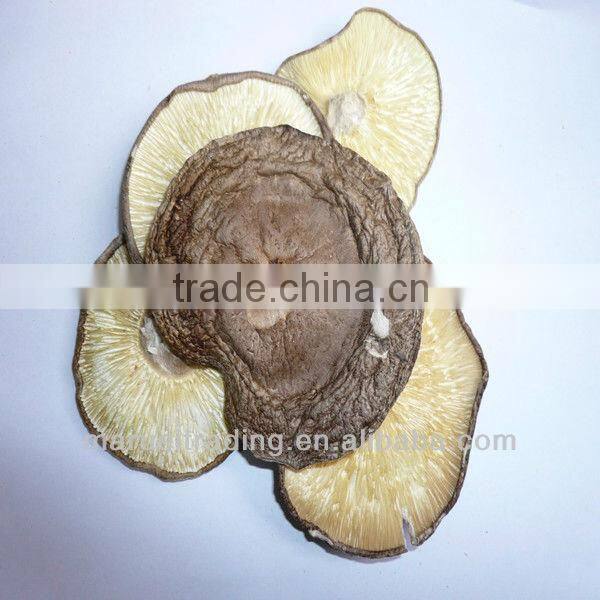 dried mushroom