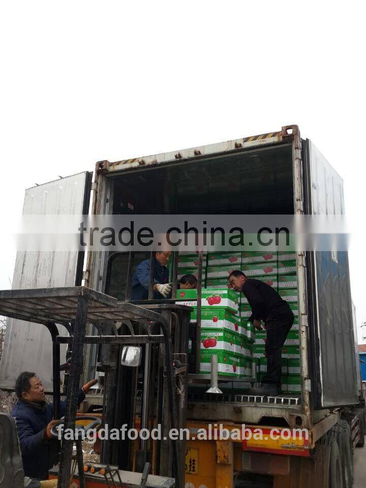 Cold storage fresh apple/low price