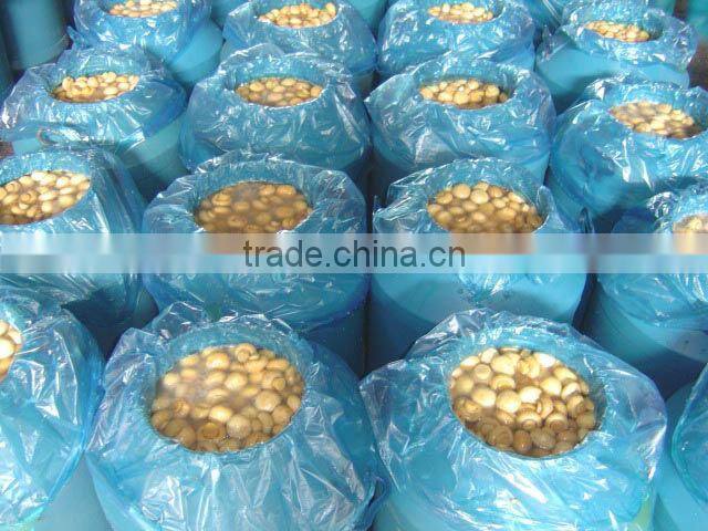 vinegar mushrooms in brine