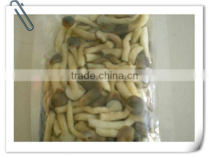 Canned whole button mushroom, mushroom champignon