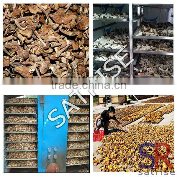 2016 Hot Selling industrial dryer machine for fresh mushroom drying
