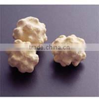 BIO Toilet Cleaner for Odor and Yellow Tint Care made in Japan