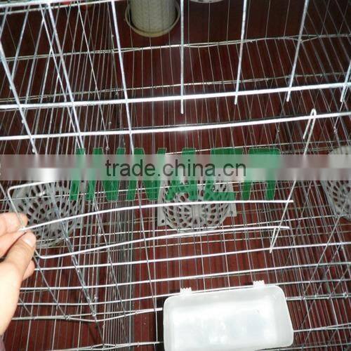 Qatar Poultry Farm Racing Pigeon Cage