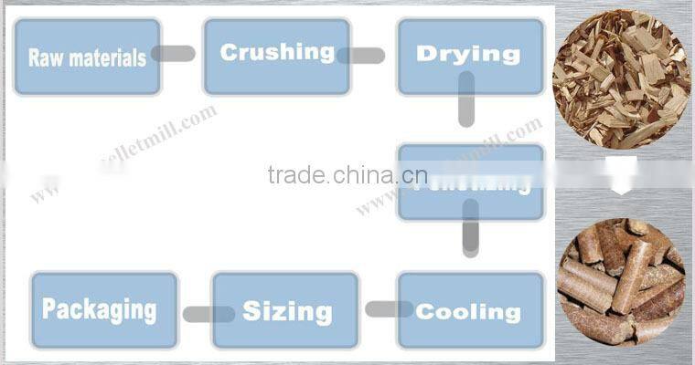 Wood stalk peanut shells rice husk biomass pellet production line from Double Crane