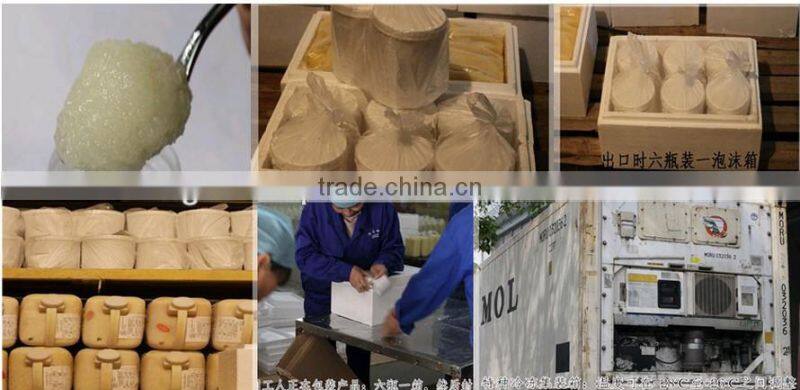 100% pure fresh royal jelly freeze dried powder