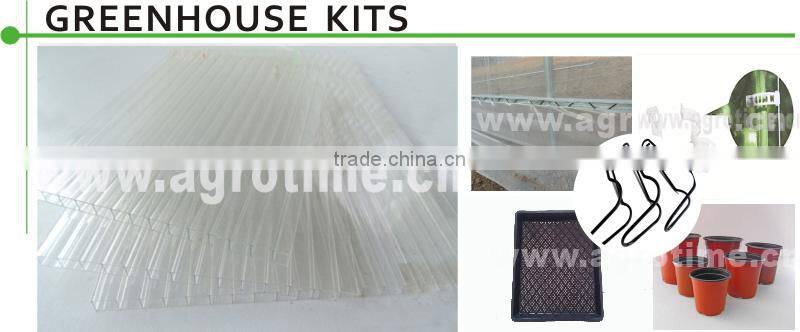 PC sheet covered greenhouse from big greenhouse manufacturer in China