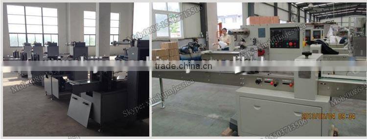 Horizontal type pillow bag frozen food packing machine