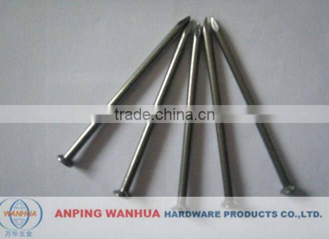 Wanhua--Common Iron Nail Manufacturer