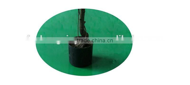 Best Quality Imitation Artificial Yulan Magnolia Tree Potted