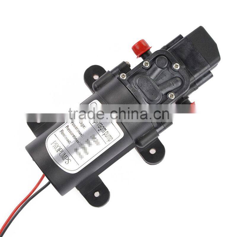 Hot Sale Car Wash Micro Diaphragm High Pressure Water Pump with Automatic Switch