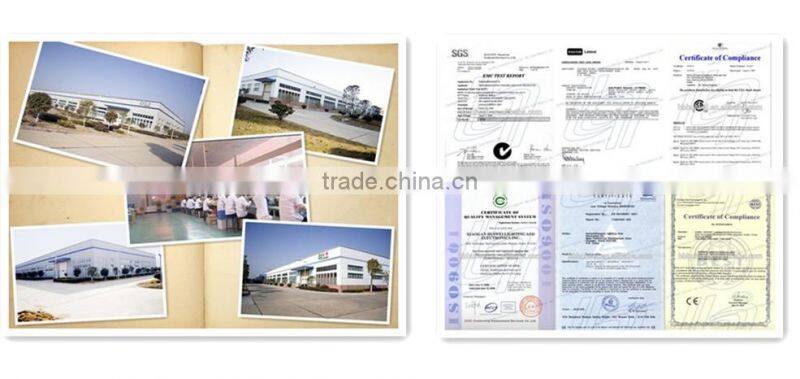 Lighting Fixture Street light electronic ballast 400W Dimmable Lighting Fixture With Cooling Fan Original Manufacturer