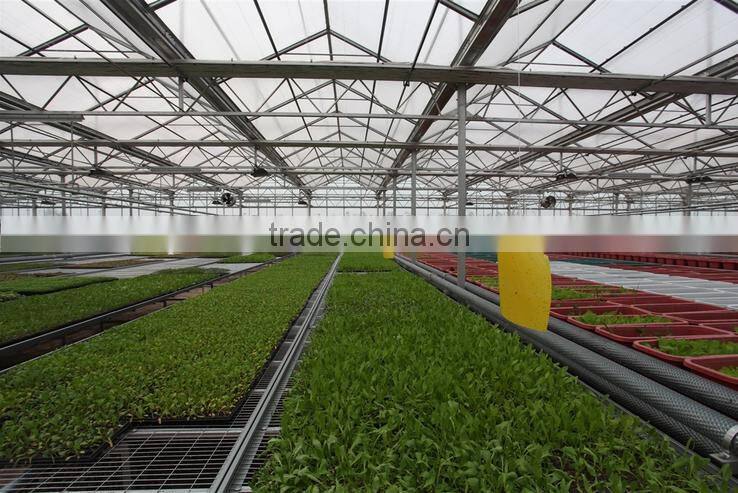 High Quality Waterproof Transparent Glass Greenhouse