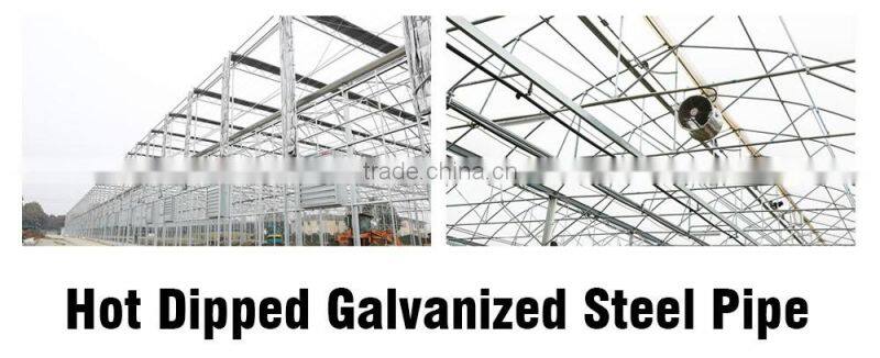 High Quality Galvanized Tubes Metal Structure for Greenhouse