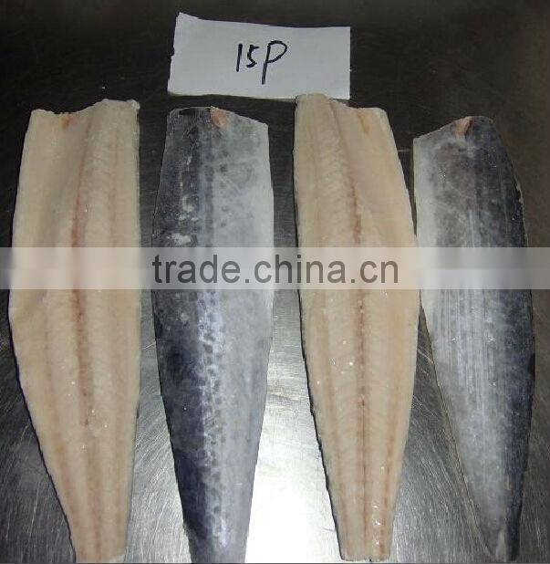 Frozen Spanish Mackerel Fillet