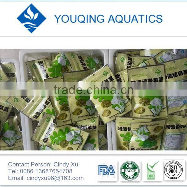 Japanese food vinegar wakame