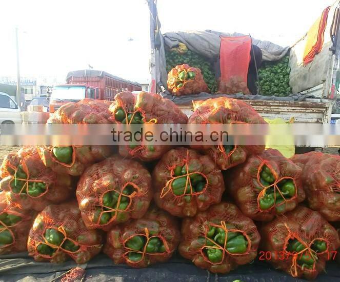 modest price garlic packaging mesh sack