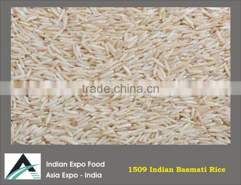 RICE FROM INDIA BEST QUALITY AND PACKING IN YOUR BRAND NAME