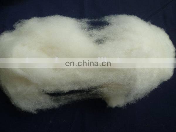 dehaired and combed mongolia cashmere tops white/light grey/brown color