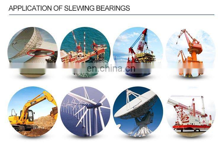 SS1926 SS1936 SS2527 truck crane slewing bearing