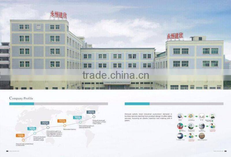 Precision injection mould for home appliances