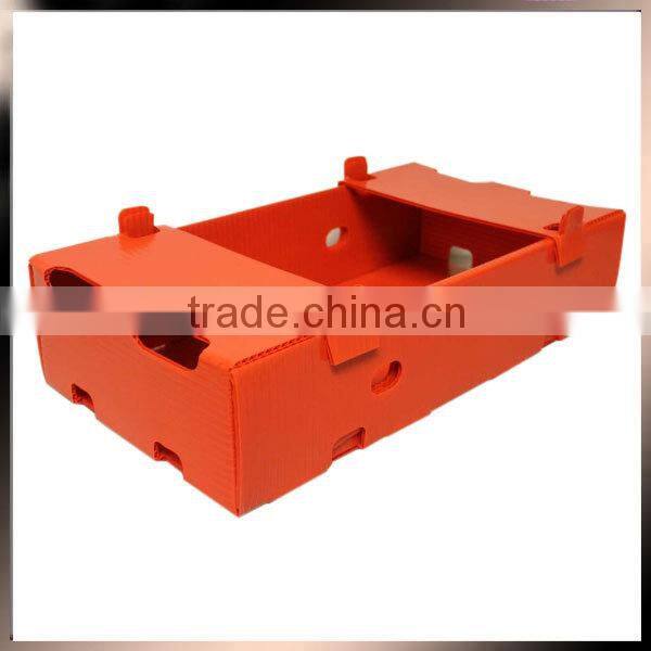2015 wholesale coroplast PP fruit tray