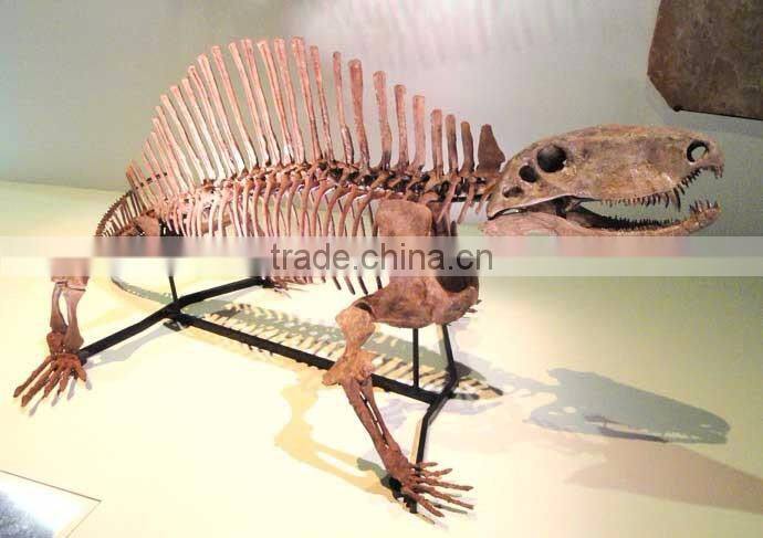 stegosaurus dinosaur fossils for sales