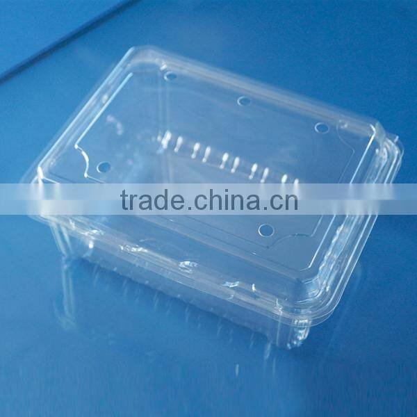 China Supplier Clamshell Blister Plastic packaging container for blueberry 500 gram