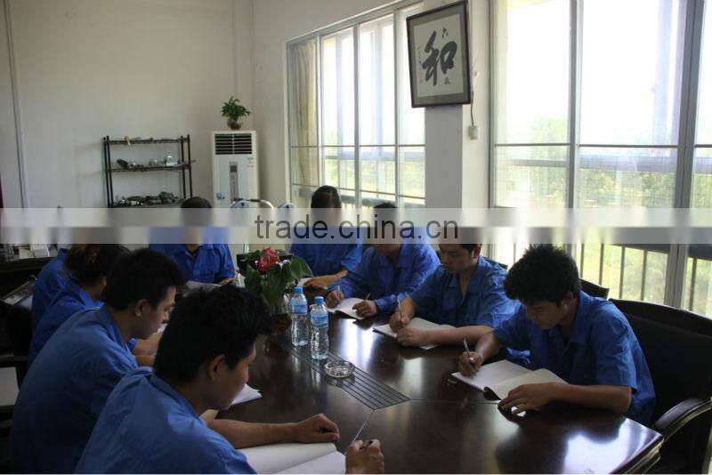 Airport VIP luggage trolley