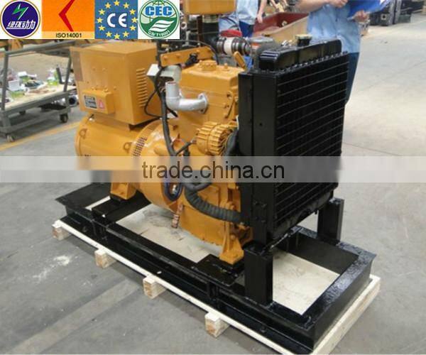 coal gasifier generating electricity 300kw gas genset