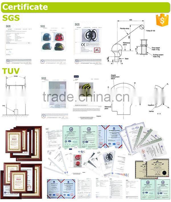 China in mold adult exported sports bike helmet