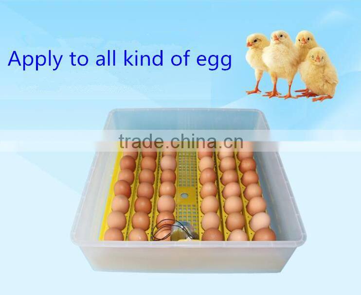 Small little turtle incubator / automatic egg incubator