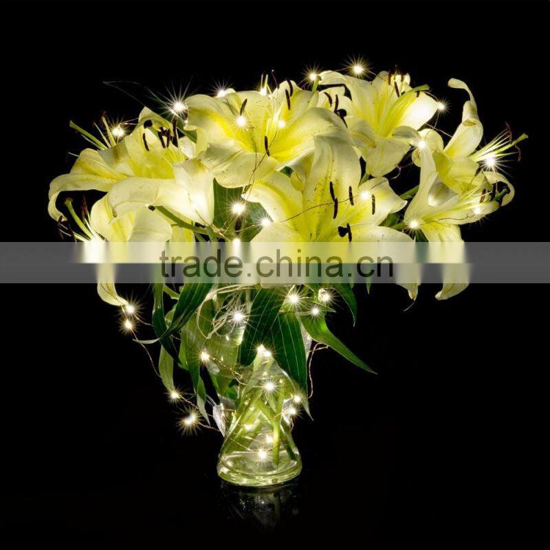 Star Starry Light LED String Light copper wire string lights 5m 8m 10m 15m 20m 25m